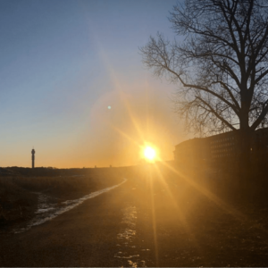 Immunförsvar & Yoga