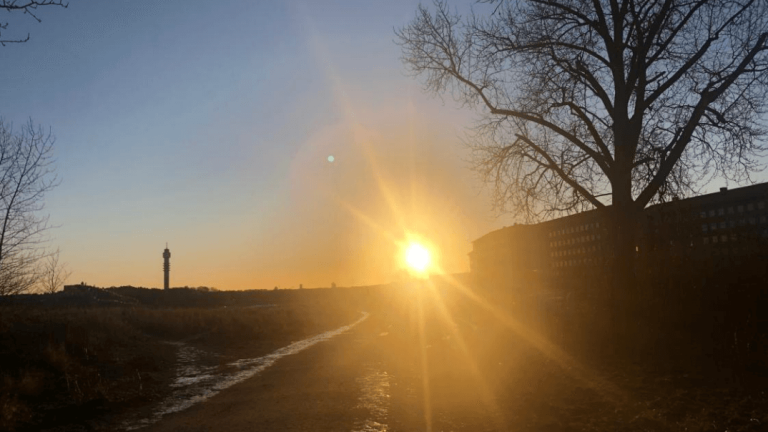 cover-immunforsvar-workshop