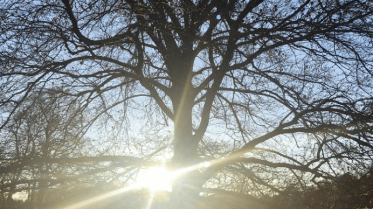 cover-stress-vagus-workshop